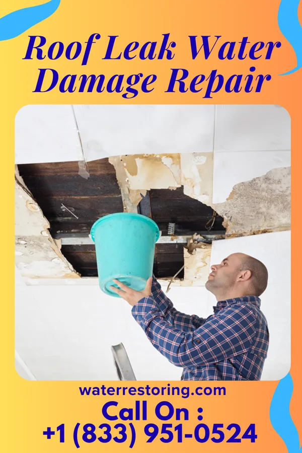 Roof Leak Water Damage Repair in Dutch John, UT